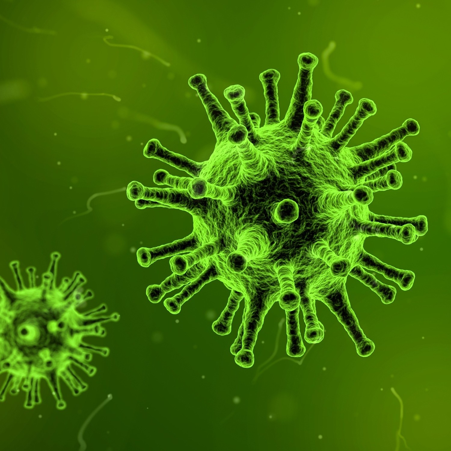 Coronavirus